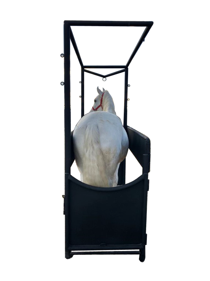 BAÑADERO PARA CABALLO