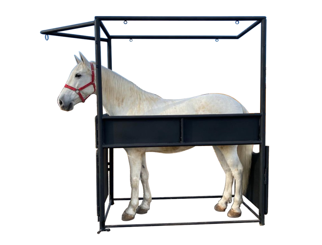 BAÑADERO PARA CABALLO