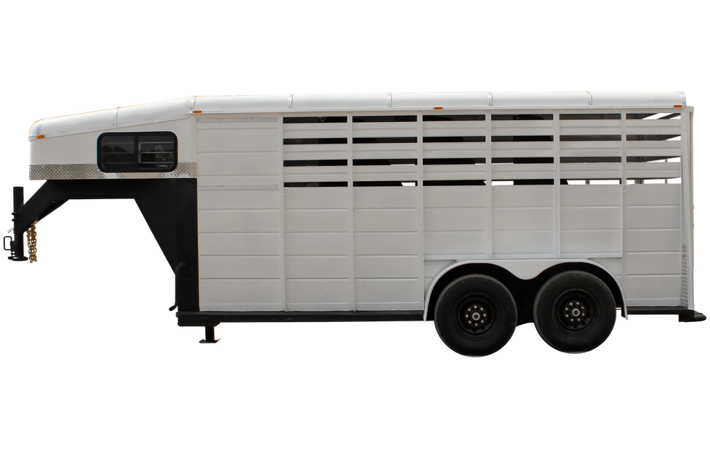 KINGSTON C4 6K