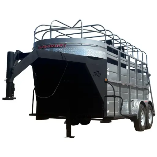 DALLAS C3 3K